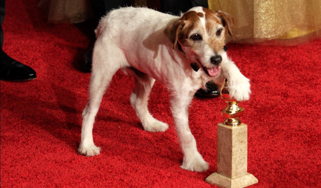 Uggie, el perro de 'The Artist', cenará con el presidente Obama